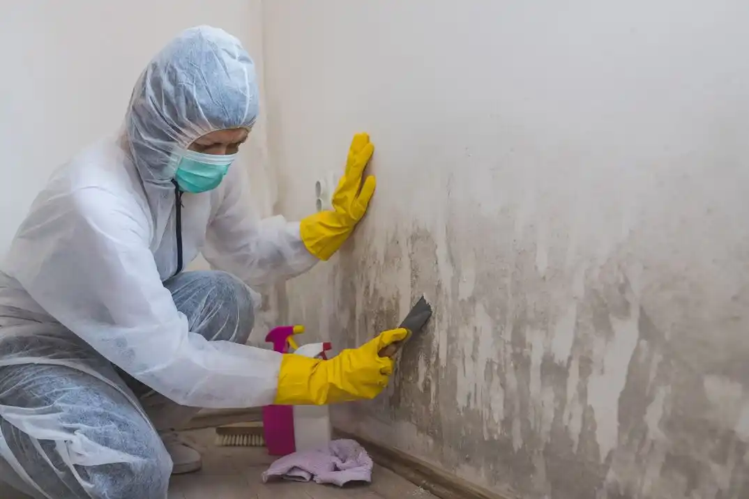 water damage restoration service Rhawnhurst